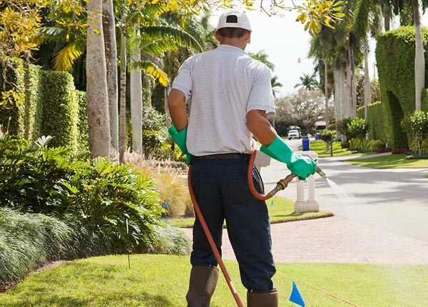 About Haydenville OH Pest Control